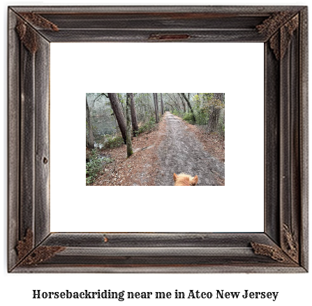 horseback riding near me in Atco, New Jersey